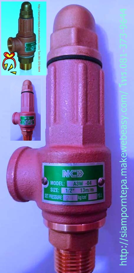 A3W-04-25 Safety relief valve ขนาด 1/2" Pressure 25 bar 365 psi 